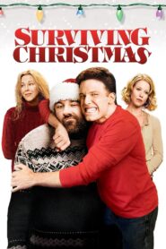 Surviving Christmas 2004 one on netflix