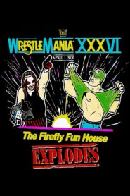 The Firefly Funhouse Match 2020 one on netflix