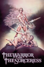 The Warrior and the Sorceress 1984 one on netflix