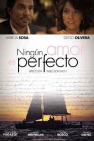 Ningún amor es perfecto 2012 one on netflix