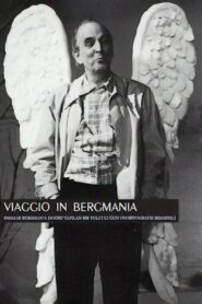 Viaggio in Bergmania 2011 one on netflix