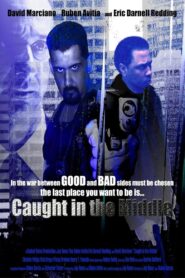 Caught in the Middle 2009 one on netflix