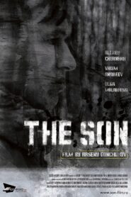 The Son 2014 one on netflix