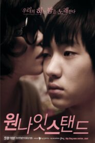 One Night Stand 2010 one on netflix