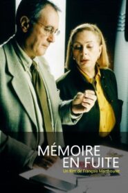Mémoires en fuite 2000 one on netflix