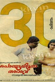 Ponmuttayidunna Tharavu 1988 one on netflix
