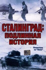 Stalingrad 2003 one on netflix