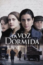 The Sleeping Voice 2011 one on netflix
