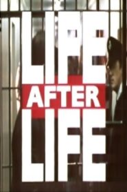 Life After Life 1995 one on netflix