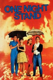 One Night Stand 1984 one on netflix