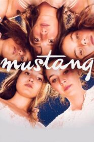Mustang 2015 one on netflix