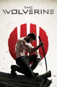 The Wolverine 2013 one on netflix