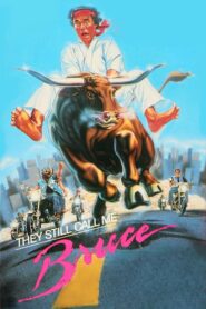 They Still Call Me Bruce 1987 one on netflix