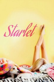 Starlet 2012 one on netflix