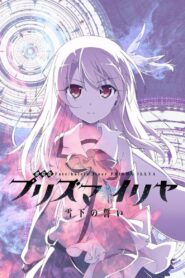 Fate/kaleid liner Prisma☆Illya: Vow in the Snow – Dark Sakura Room 2017 one on netflix