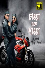 Chaowa Theke Paowa 1996 one on netflix