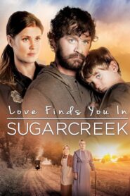 Love Finds You In Sugarcreek 2014 one on netflix