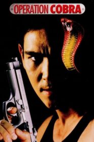 Operation Cobra 1997 one on netflix