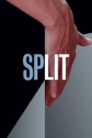 Split 2016 one on netflix