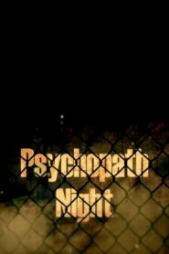 Psychopath Night 2013 one on netflix