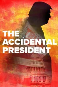 The Accidental President 2020 one on netflix