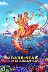 Barb & Star Go to Vista Del Mar 2021 one on netflix