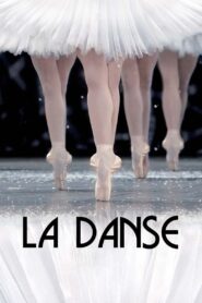 La Danse: The Paris Opera Ballet 2009 one on netflix