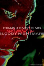 Frankenstein’s Bloody Nightmare 2006 one on netflix