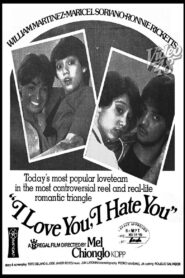I Love You, I Hate You 1982 one on netflix