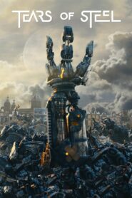 Tears of Steel 2012 one on netflix