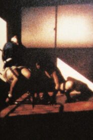 Squareworld 1995 one on netflix