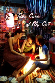 Take Care of My Cat 2001 one on netflix