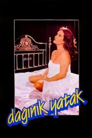 Dağınık Yatak 1984 one on netflix