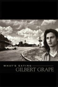 What’s Eating Gilbert Grape 1993 one on netflix