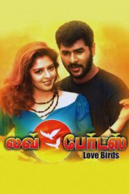Love Birds 1996 one on netflix