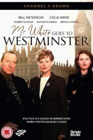 Mr White Goes To Westminster 1997 one on netflix