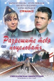 Razreshite tebya potselovat’ 2008 one on netflix