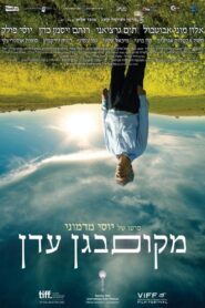 A Place in Heaven 2013 one on netflix