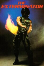 The Exterminator 1980 one on netflix