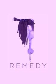 Remedy 2013 one on netflix