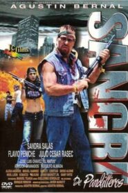 Sangre de pandilleros 2002 one on netflix