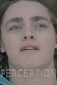 Perception 2017 one on netflix