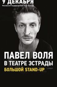 Pavel Volya: at the Estrada Theatre 2013 one on netflix