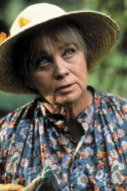 Sunday Pursuit 1990 one on netflix