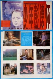少年彭德怀 1986 one on netflix