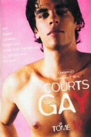 Courts mais Gay : Tome 12 2006 one on netflix