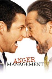 Anger Management 2003 one on netflix