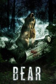 Bear 2010 one on netflix