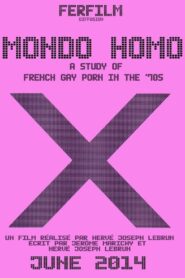 Mondo Homo: A Study of French Gay Porn in the ’70s 2014 one on netflix