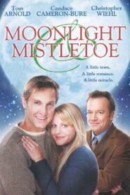 Moonlight & Mistletoe 2008 one on netflix